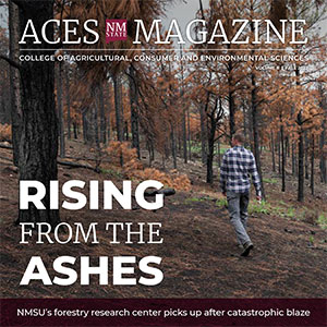 Aces magazine cover